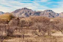 Reference-Image-Tubac-Demo-Day-2