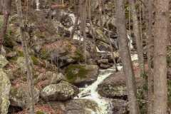 Somewhere between the Sandstone Falls in West Virginia and Lexington, Virginia. I travelled along the smaller side roads for hours as I headed toward the North Entrance of the Blue Ridge Parkway.