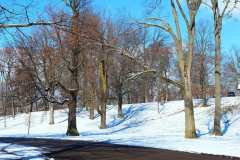 Sledding-Hill
