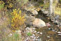 Summer-Sonata-20x24-fall-color-creek-oil-painting-reference-photo-scaled