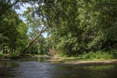 The White River at Morrow’s Meadows – the place I set up to paint.