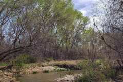 Tubac-Reference-Image-1st-Day-River