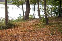 fallen-leaves-oil-painting-reference-photo-Summit-Lake-and-Trees-scaled