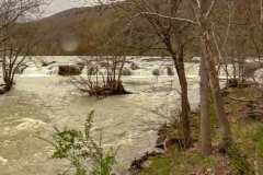 I crossed a bridge to a small island in the middle of the river, the roar of the water was both invigorating and terrifying.
