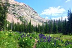 near-Steamboat-by-Michelle-