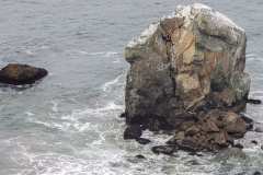 rocks
