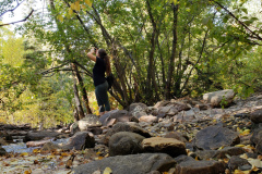 Aspen-forest-with-brook-2020-10