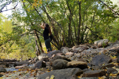 Aspen-forest-with-brook-2020-11