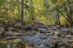 Aspens-Aurora-10