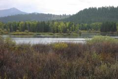 River and fall trees/bushes near Jackson Hole Wyoming