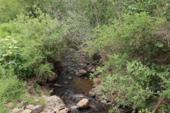 Colorado-Wyoming-South-Dakota-Broadmoor-Trip-2020-393