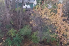 Fall-White-River-26
