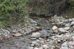 Greenhorn Creek near Rye Colorado