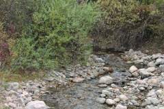 Greenhorn Creek near Rye Colorado