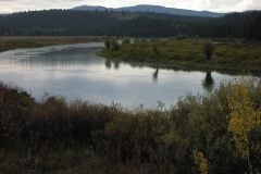 River and fall trees/bushes near Jackson Hole Wyoming