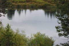 River and fall trees/bushes near Jackson Hole Wyoming