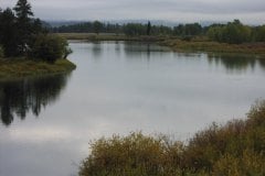 River and fall trees/bushes near Jackson Hole Wyoming