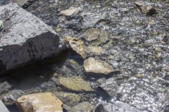 River-Rocks-Sparkling-Danielles-camera-1