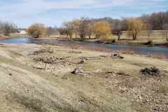 River-with-Weeping-Willows-March-2019-1