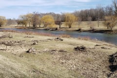 River-with-Weeping-Willows-March-2019-2