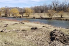 River-with-Weeping-Willows-March-2019-3