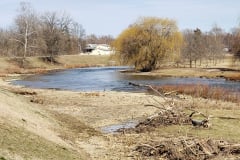 River-with-Weeping-Willows-March-2019-5