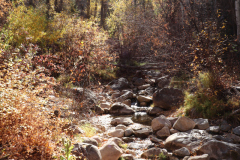 Utah-Aspens-Mountains-Waterfall-Trees-2020-684