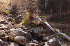 Utah-Aspens-Mountains-Waterfall-Trees-2020-690