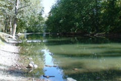 Westside-Park-River-and-Catfish-10-10-08