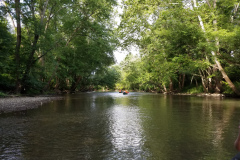 White-River-Canoeing-2016-2