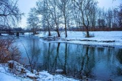 White River Winter & Snowy Sycamores with small dam removed