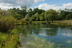Willow-Reflections-on-brook-27
