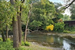 Wite-River-Greenway-in-Fall-Sept-2020-2