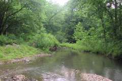 Rock Springs river and summer trees
