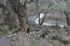 River near Santa Fe New Mexico