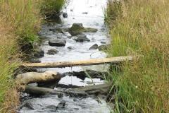 Creek - Snow Mountain Ranch trip with Plein Air Painters of America