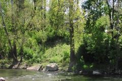 vertical-river-rocks-trees-