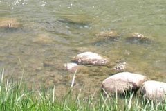 river and rocks