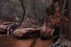 Canyon-Rocks-tawny-friends-2018