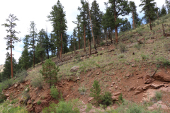 Colorado-Wyoming-South-Dakota-Broadmoor-Trip-2020-322