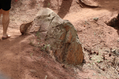 Colorado-Wyoming-South-Dakota-Broadmoor-Trip-2020-529