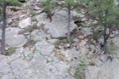 Mt-Rushmore-Broadmoor-Trip-2020-171