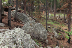 Mt-Rushmore-Broadmoor-Trip-2020-107