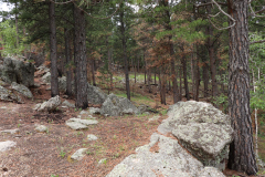 Mt-Rushmore-Broadmoor-Trip-2020-119