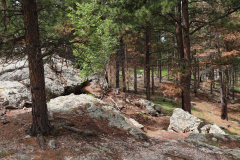 Mt-Rushmore-Broadmoor-Trip-2020-126