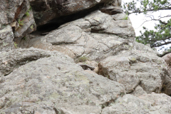 Mt-Rushmore-Broadmoor-Trip-2020-149
