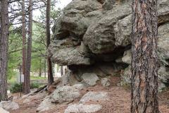 Mt-Rushmore-Broadmoor-Trip-2020-154