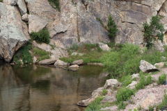 Mt-Rushmore-Broadmoor-Trip-2020-47