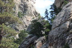 Mt-Rushmore-Broadmoor-Trip-2020-63