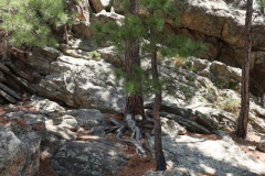 Mt-Rushmore-Broadmoor-Trip-2020-79